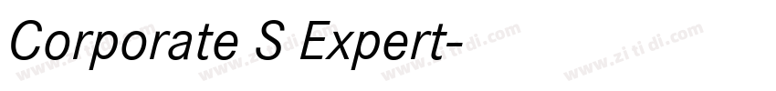 Corporate S Expert字体转换